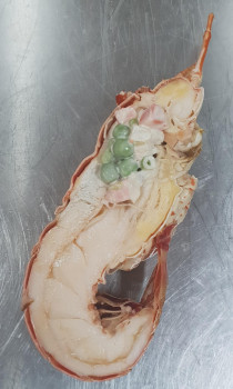 Demi queue de langouste